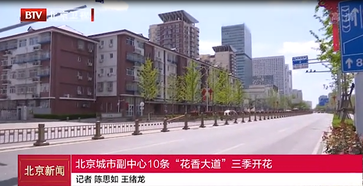 杰欣园艺 北京通州区22公里护栏花箱案例